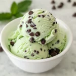 Ninja Creami Mint Chocolate Chip Ice Cream
