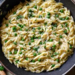 Garlic Parmesan Orzo Pasta Recipe