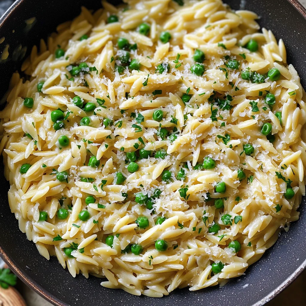 Garlic Parmesan Orzo Pasta Recipe